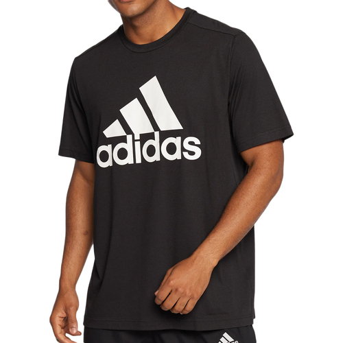 Vêtements Homme T-shirts & Polos adidas Originals GT3109 Noir