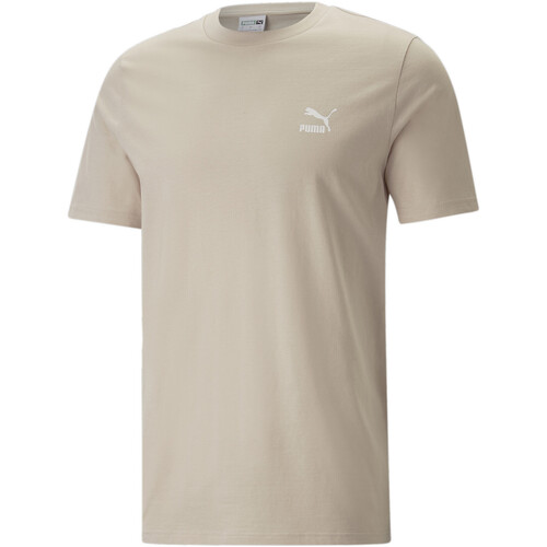 Vêtements Homme T-shirts & Polos Puma producto 535587-88 Beige
