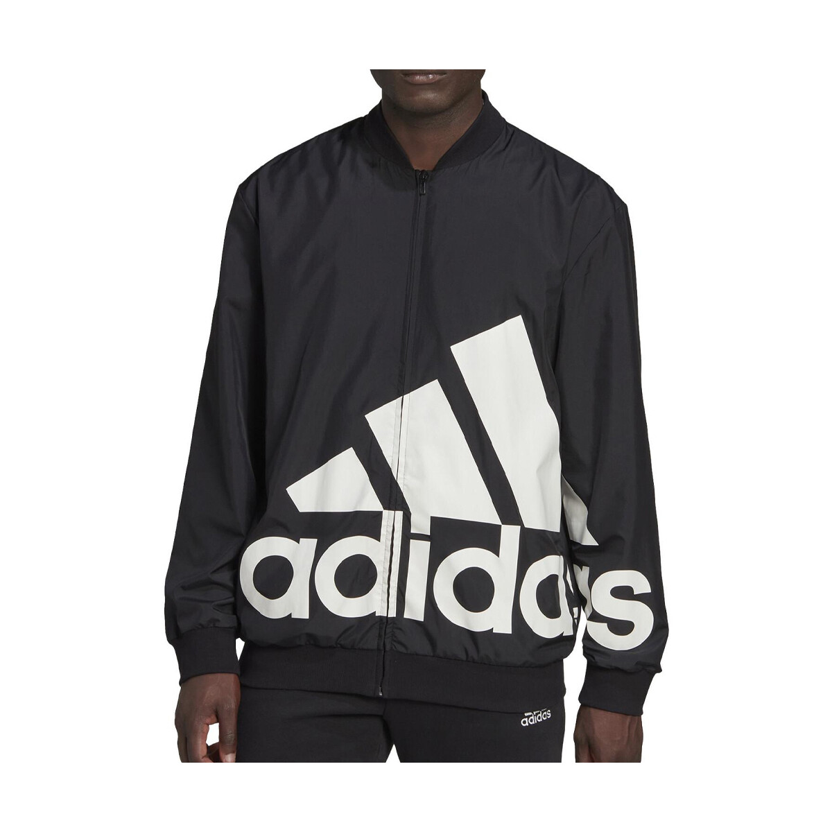 Vêtements Homme Vestes / Blazers adidas Originals HL6923 Noir