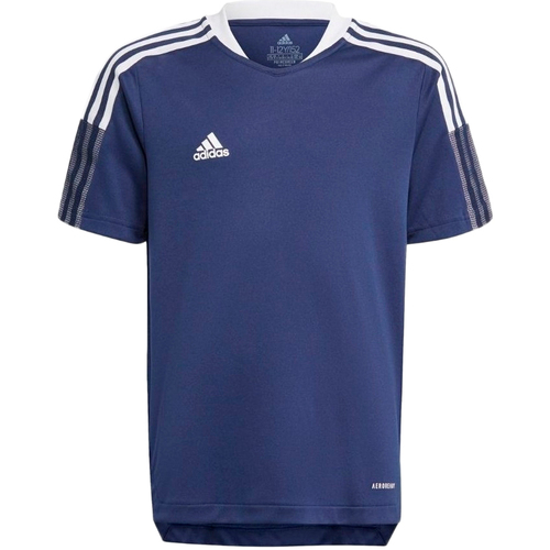 Vêtements Garçon T-shirts & Polos adidas Fierce Originals GM7573 Bleu