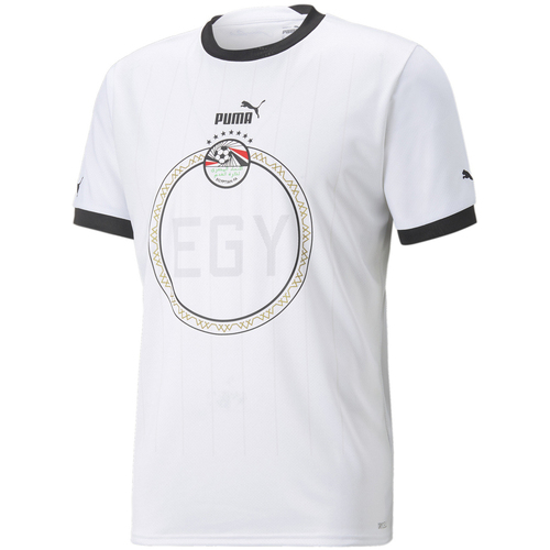 Vêtements Homme T-shirts & Polos Puma 766163-02 Blanc