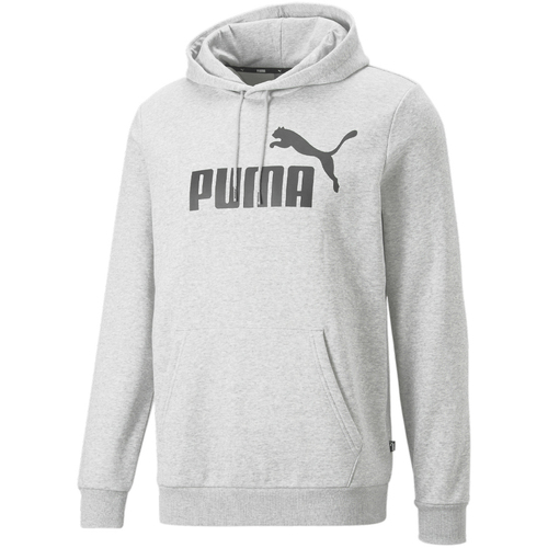 Vêtements Homme Sweats Young Puma 586686-04 Gris