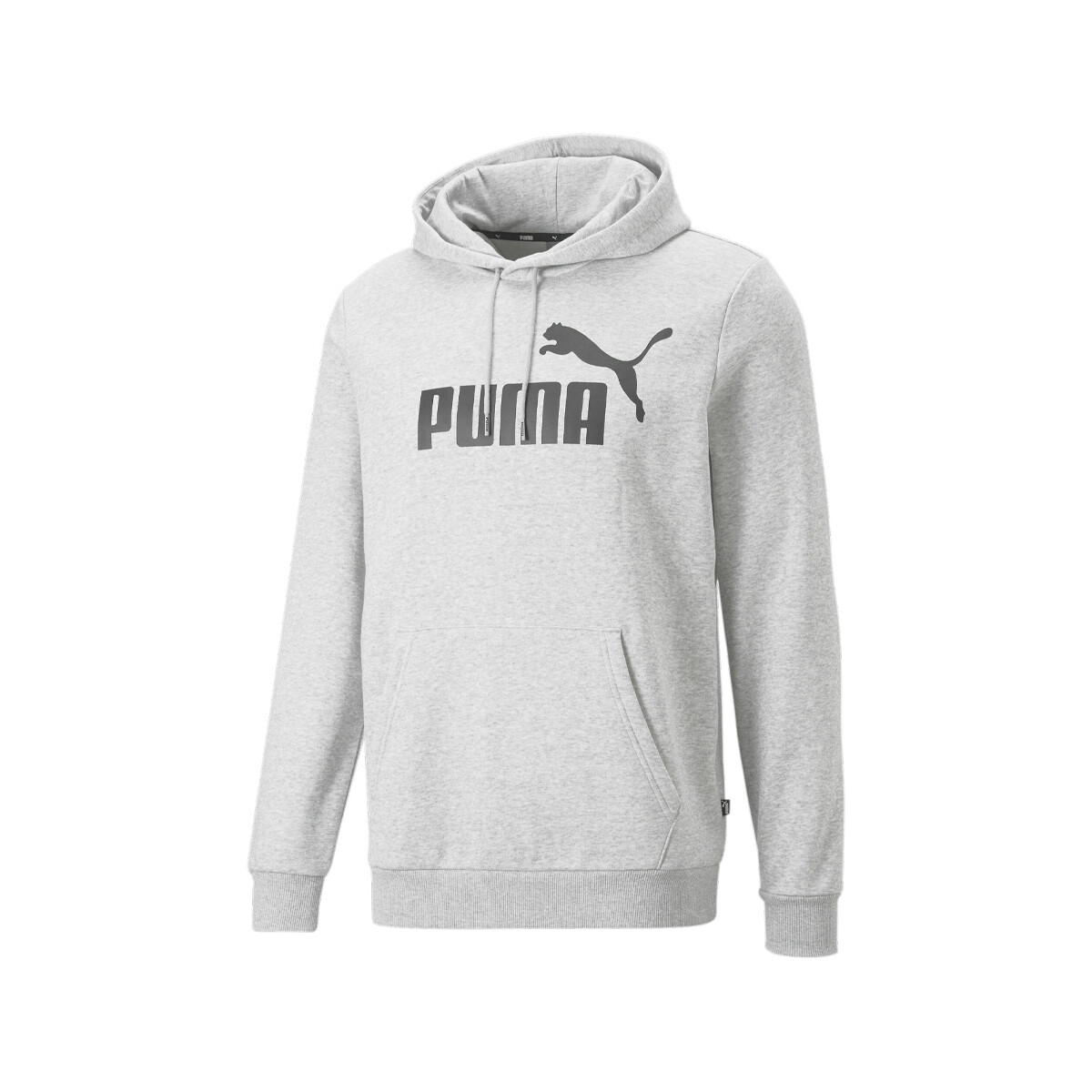 Vêtements Homme Sweats Puma 586686-04 Gris