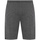 Vêtements Homme Shorts / Bermudas Everlast 810522-60 Gris