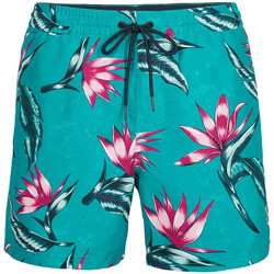 Vêtements Garçon Shorts / Bermudas O'neill 4800005-35015 Bleu