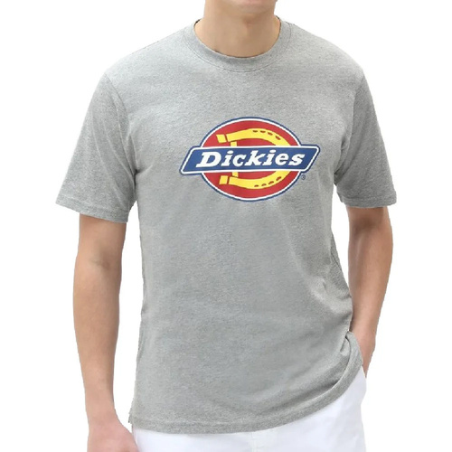 Vêtements Homme T-shirts & Polos Dickies DK0A4XC9GYM1 Gris