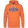 Vêtements Homme Sweats Petrol Industries M-1040-SWH300 Orange