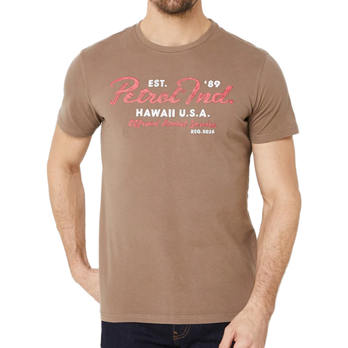 Vêtements Homme T-shirts & Polos Petrol Industries M-1040-TSR601 Marron