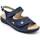 Chaussures Femme Derbies & Richelieu Pitillos 5580 Bleu