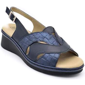 Chaussures Femme Haut : 6 à 8cm Pitillos 5681 Bleu