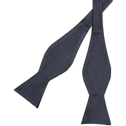 Vêtements Homme Cravates et accessoires Bruce Field Noeud papillon ouvert en soie Bleu