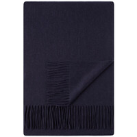 Accessoires textile Echarpes / Etoles / Foulards Bruce Field Echarpe 100% cachemire tissée Bleu