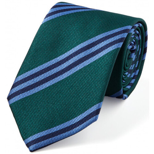 Vêtements Homme Cravates et accessoires Bruce Field Cravate club pure soie Vert