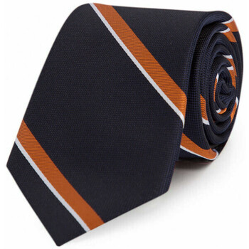Vêtements Homme Cravates et accessoires Bruce Field Cravate club pure soie rayée Bleu