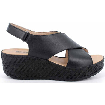 Chaussures Femme Sandales et Nu-pieds Imac 557690 Noir