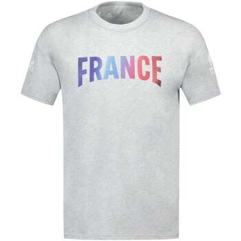 Vêtements Homme T-shirts manches courtes Le Coq Sportif 163989VTPE24 Gris