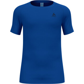 Vêtements Homme T-shirts manches courtes Odlo ACTIVE DRY Bleu