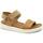 Chaussures Femme Sandales et Nu-pieds Ecco ECC-CCC-273603-LI Marron