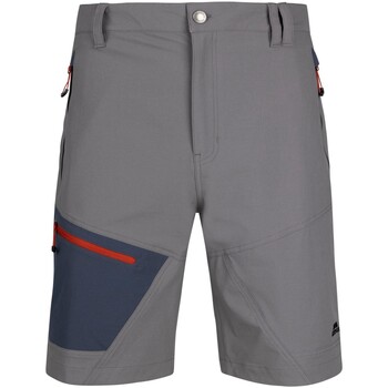 Vêtements Homme Shorts / Bermudas Trespass Dalham Gris