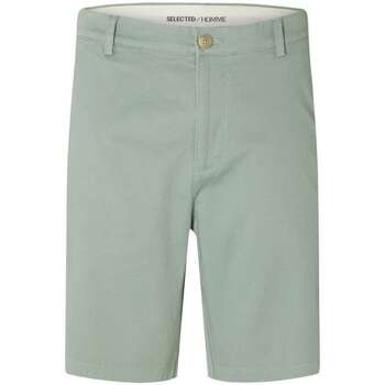 Vêtements Homme Shorts Wei / Bermudas Selected 163441VTPE24 Vert