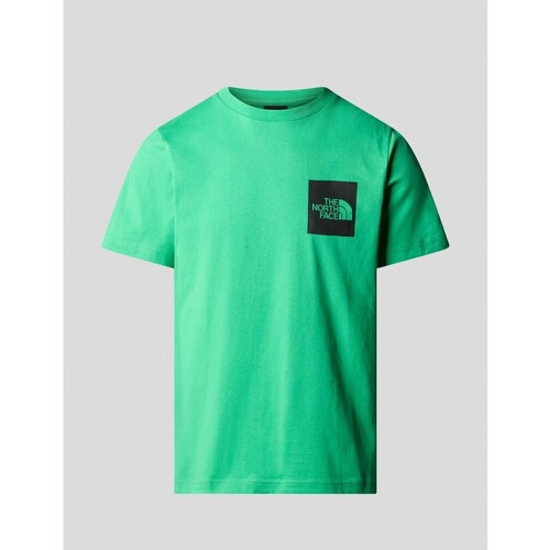Vêtements Homme T-shirts manches courtes The North Face  Vert