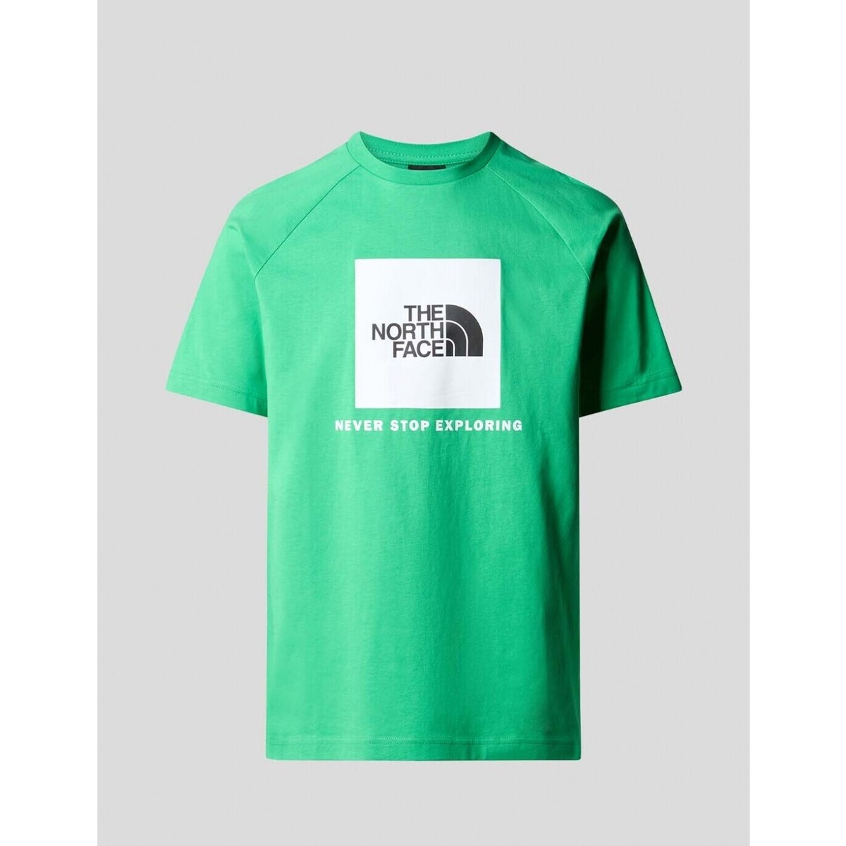 Vêtements Homme T-shirts manches courtes The North Face  Vert