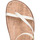 Chaussures Femme Derbies & Richelieu Ancient Greek Sandals CAB00003061AE Blanc