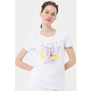 Vêtements Femme T-shirts & Polos Fracomina FR24ST3004J464N5 Incolore
