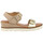 Chaussures Femme Sandales et Nu-pieds Coco & Abricot v2765i Gris/Argent