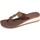 Chaussures Femme Tongs Isotoner Tongs Marron