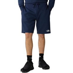 Vêtements Homme Shorts / Bermudas The North Face Standard Light Bleu