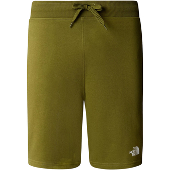 Vêtements Homme Shorts jeans / Bermudas The North Face Standard Light Vert