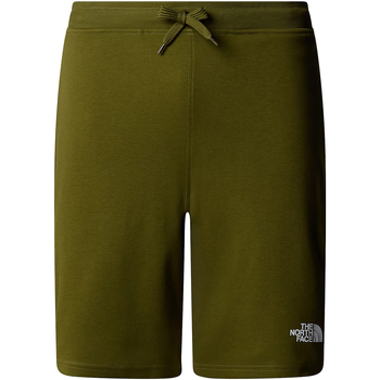 Vêtements Homme Shorts gamba / Bermudas The North Face Graphic Light Vert
