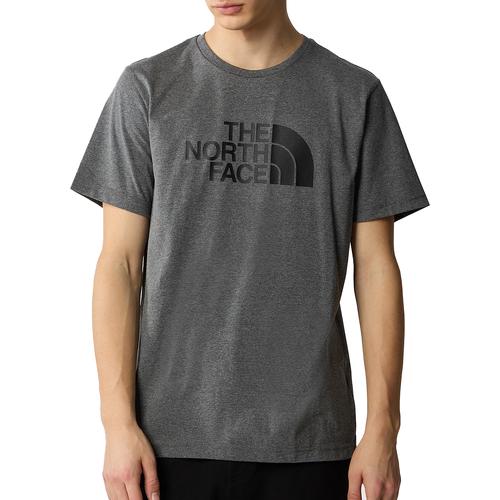 Vêtements Homme T-shirts manches courtes The North Face Easy Gris