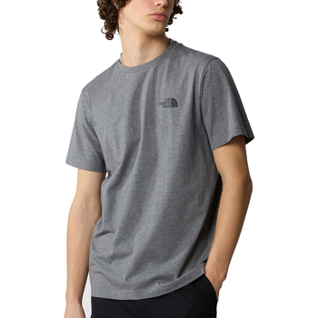 Vêtements Homme T-shirts manches courtes The North Face Simple Dome Gris
