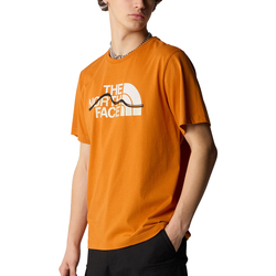 Vêtements Homme T-shirts manches courtes The North Face Mountain Line Orange