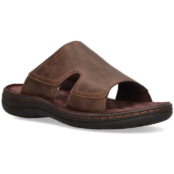 Chaussures Homme Sandales et Nu-pieds Etika 41015 Marron