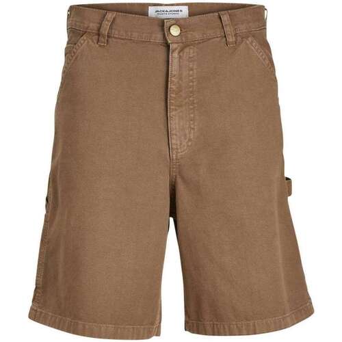 Vêtements Homme Shorts / Bermudas Jack & Jones 161396VTPE24 Marron