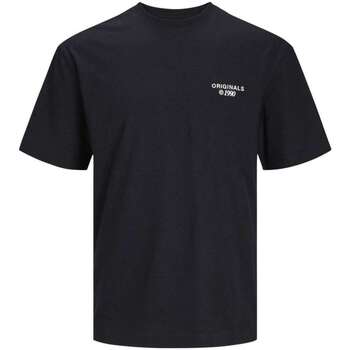 Vêtements Homme T-shirts manches courtes Jack & Jones 161482VTPE24 Noir