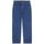 Vêtements Homme Pantalons de survêtement Dickies Pantalon Fishersville Homme Classic Blue Bleu