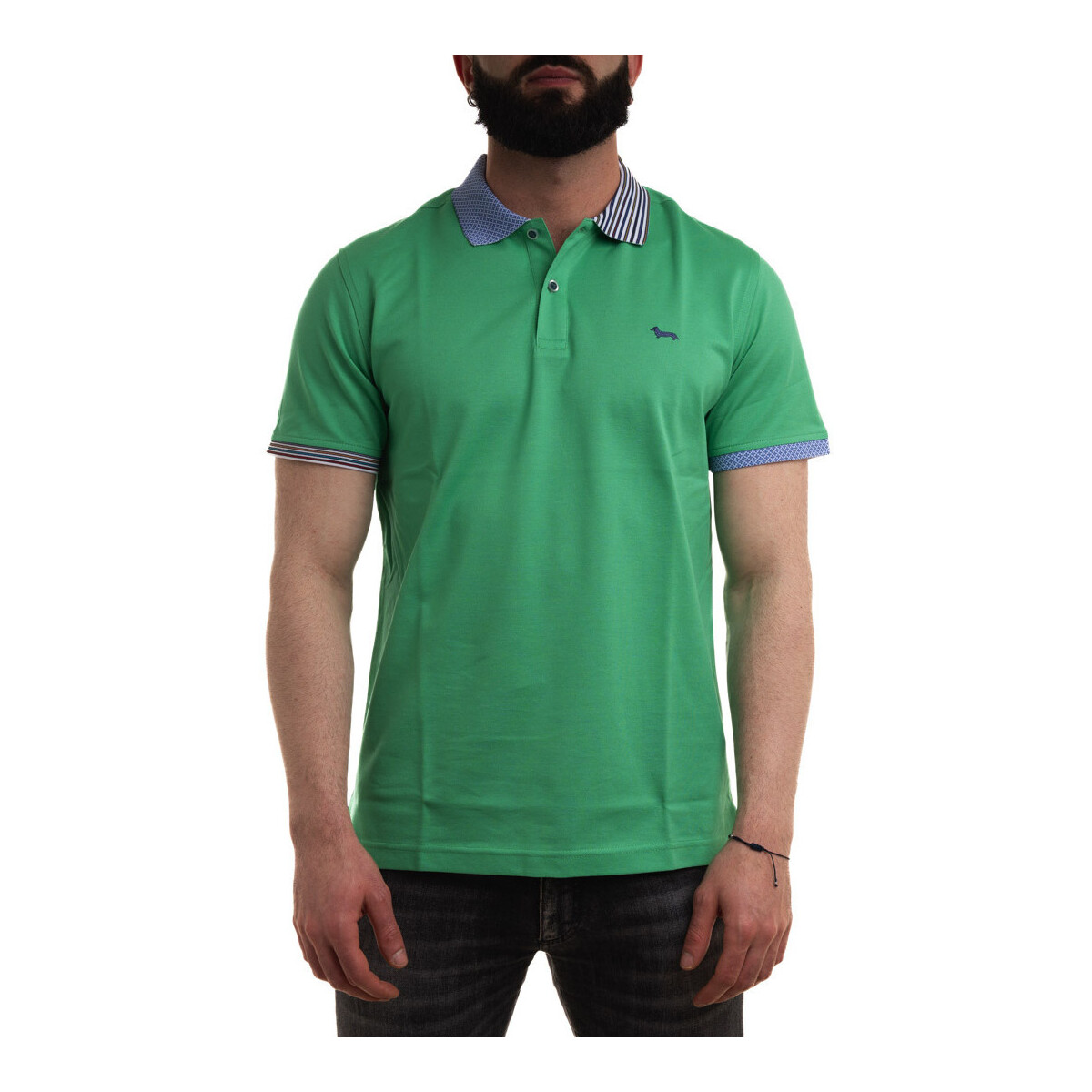 Vêtements Homme T-shirts & Polos Harmont & Blaine LRL375021215 Vert