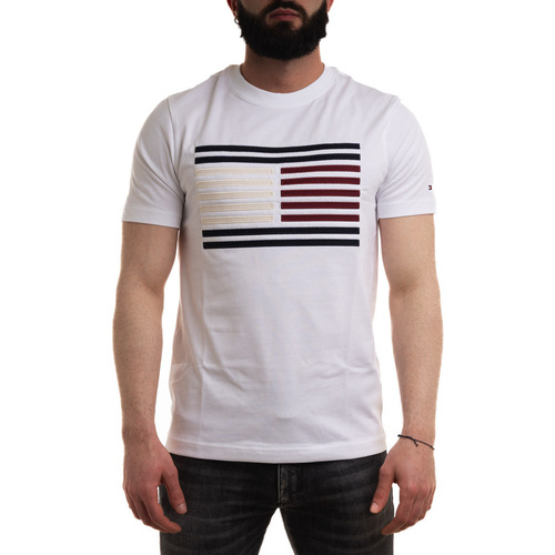 Vêtements Homme T-shirts & Polos Tommy Hilfiger MW0MW35460 Blanc