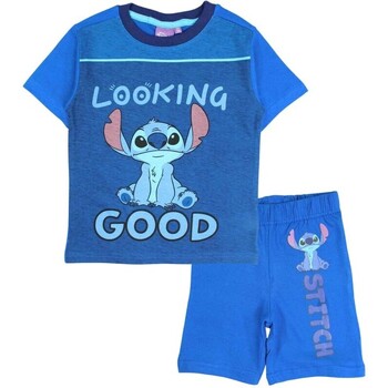 Vêtements Garçon Ensembles enfant Disney Ensemble Bleu