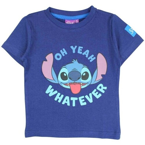 Vêtements Garçon T-shirts manches courtes Disney T-shirt Bleu