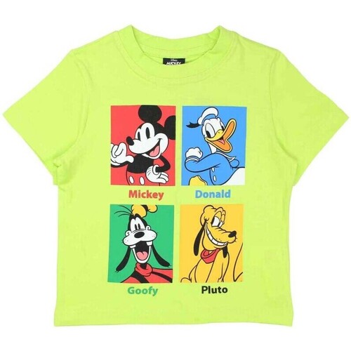 Vêtements Garçon T-shirts manches courtes Disney T-shirt Vert