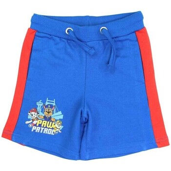 Vêtements Garçon Shorts / Bermudas Paw Patrol Short Bleu