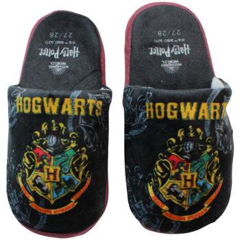 Chaussures Garçon Chaussons Harry Potter Pantoufle Noir