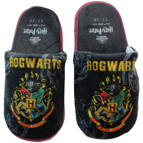 Chaussures Garçon Chaussons Harry Potter Pantoufle Noir