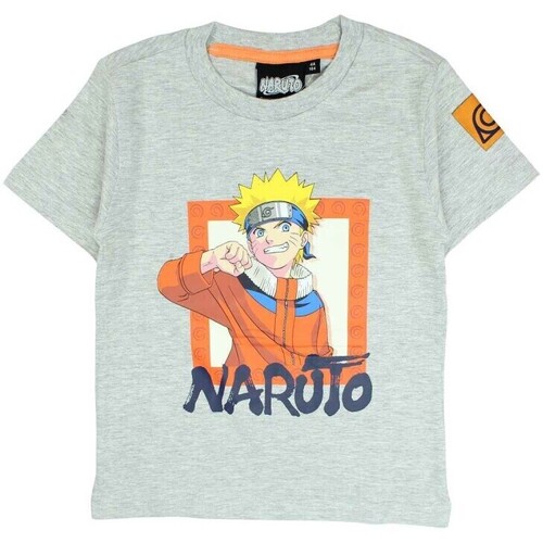 Vêtements Garçon T-shirts manches courtes Naruto T-shirt Gris