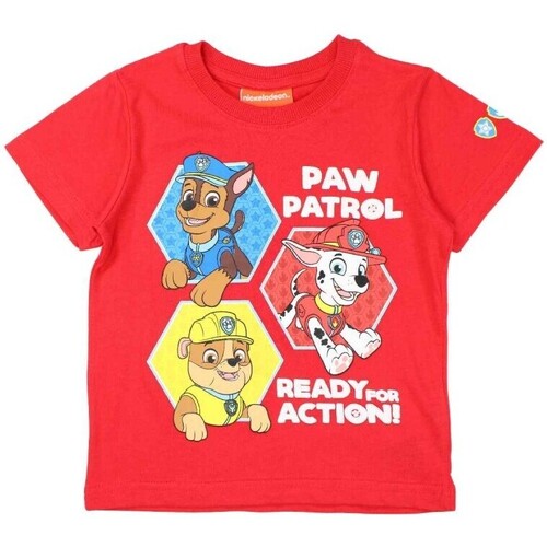 Vêtements Garçon T-shirts manches courtes Paw Patrol T-shirt Rouge